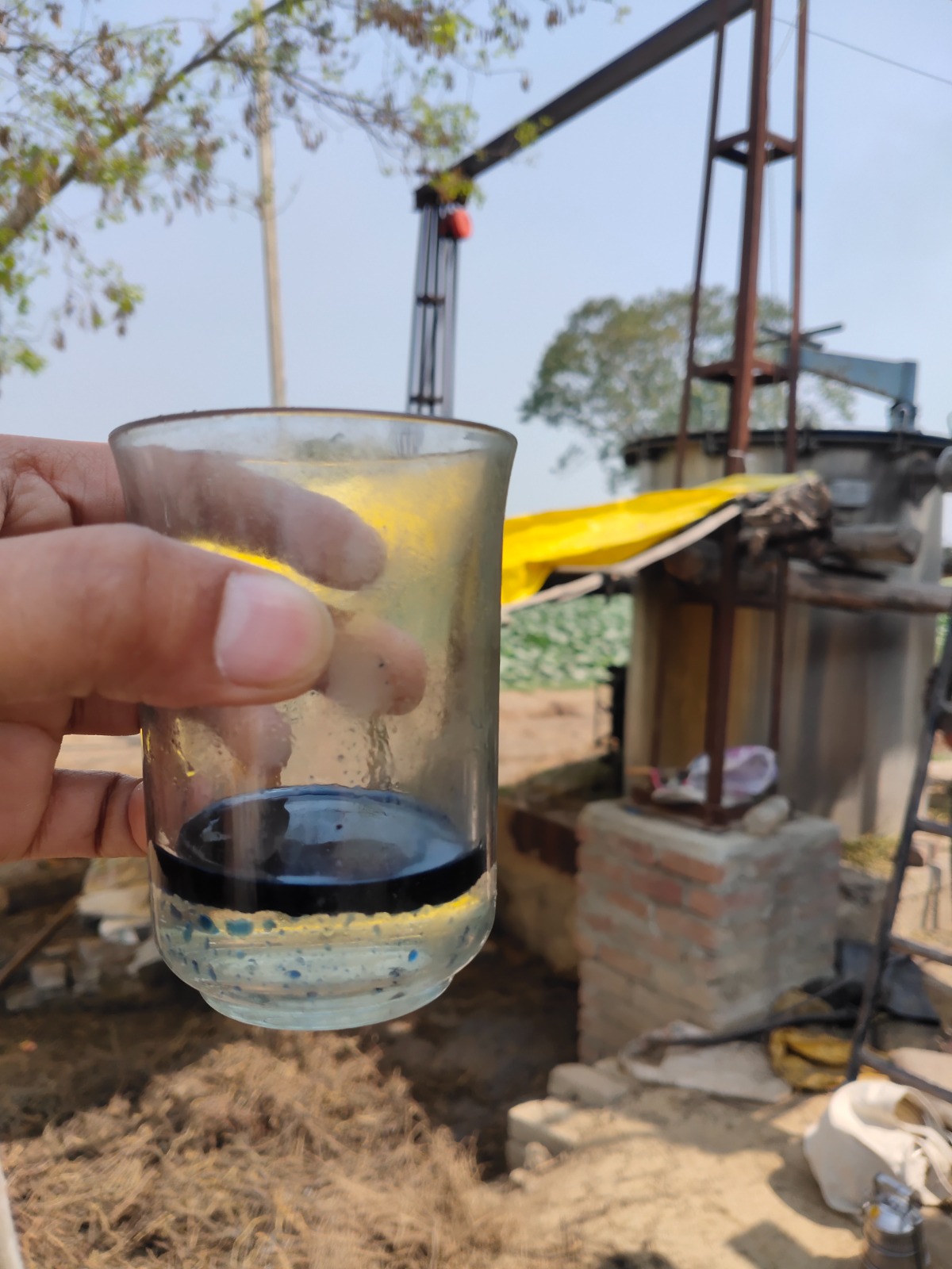 Freshly distilled essential oil sampled on-site
